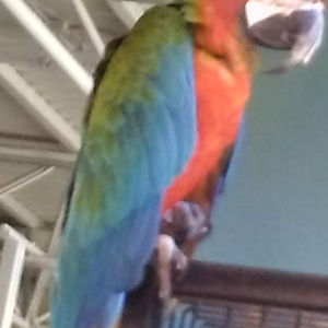 Meet your Posher, Ben